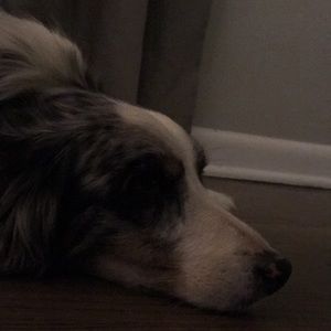 Meet your Posher, Kim